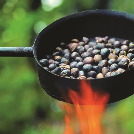 Stainzerhof 호텔 슈타인츠