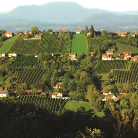 Stainzerhof 4* 슈타인츠