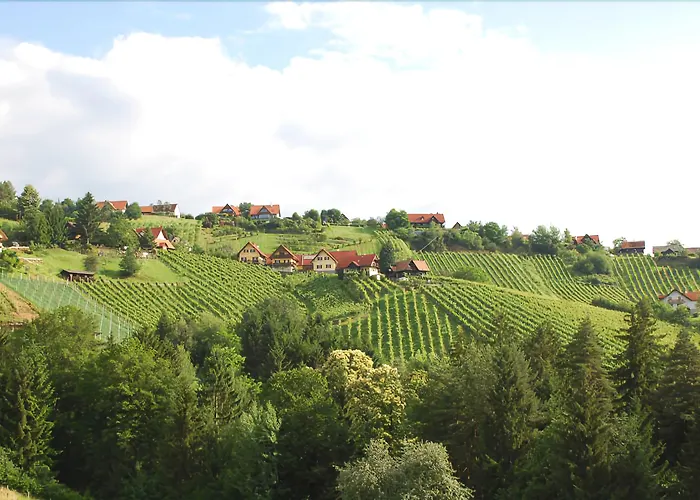 Hotel Stainzerhof 4*