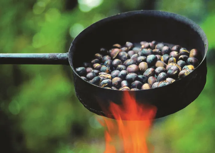 Stainzerhof Hotel Stainz